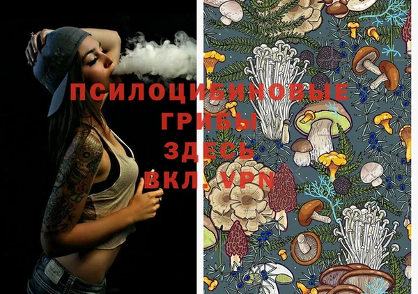 меф Новозыбков