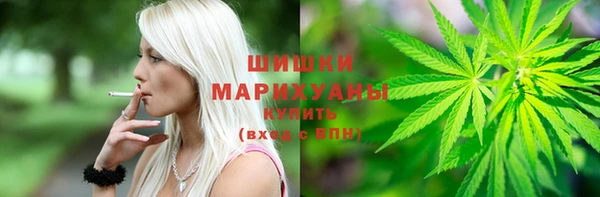 стаф Зерноград