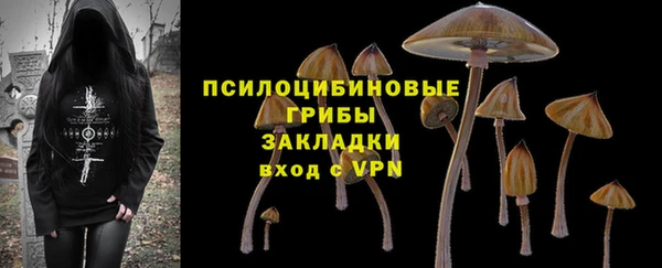 ПСИЛОЦИБИНОВЫЕ ГРИБЫ Новокубанск