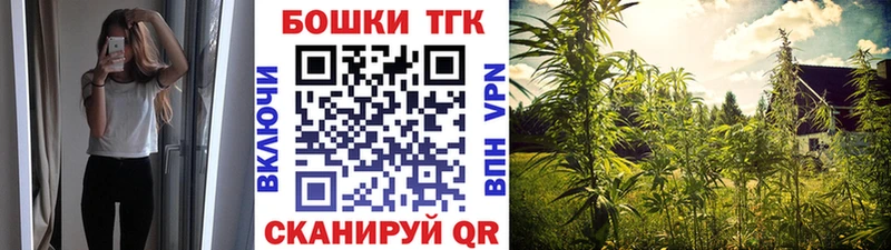где продают наркотики  Мирный  Конопля план 